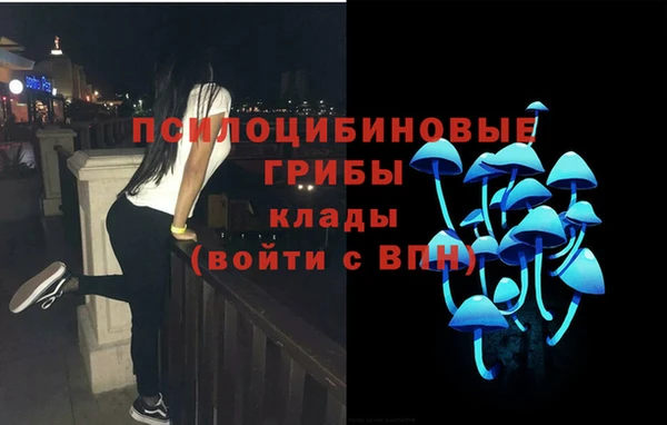 тгк Армянск