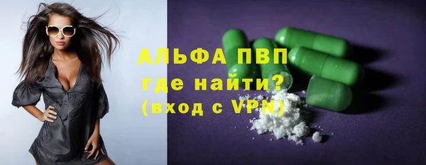 стафф Арсеньев