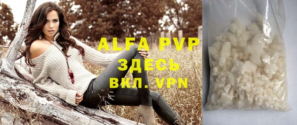 стафф Арсеньев