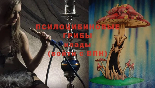 стафф Арсеньев