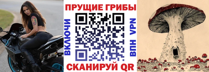 Галлюциногенные грибы Psilocybe закладки Ижевск